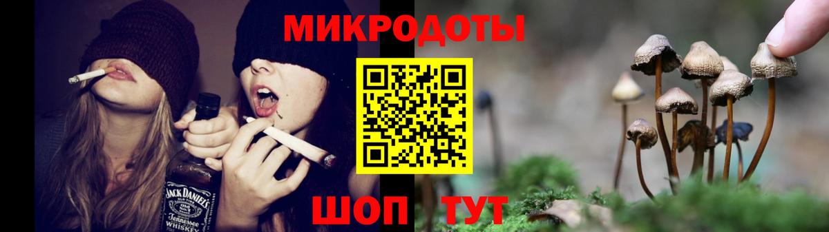 Галлюциногенные грибы Psilocybe  Вход с VPN  Качканар 